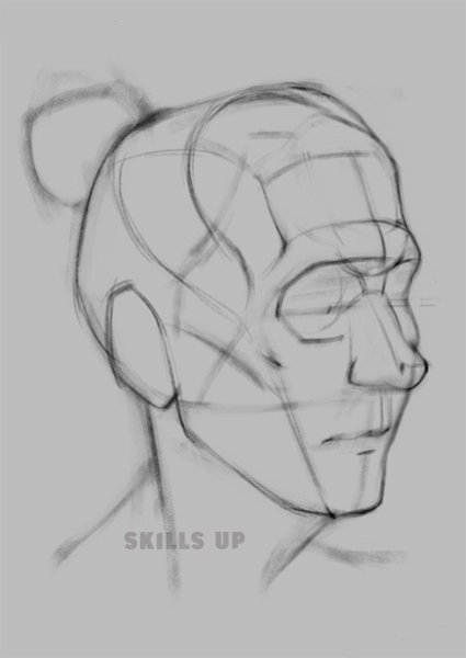 Анатомические зарисовки лица