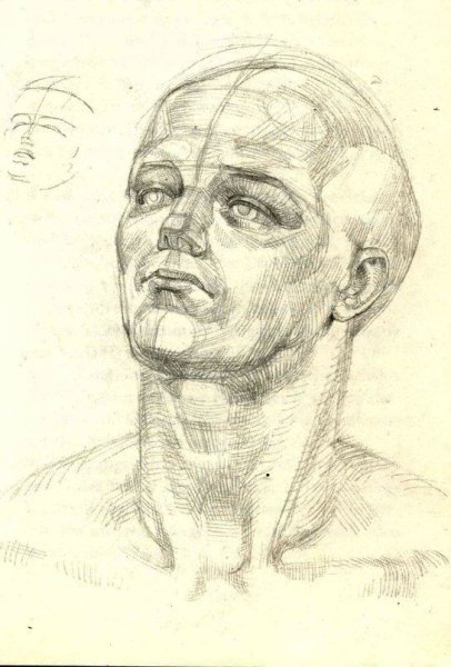 Готфрид Баммес голова