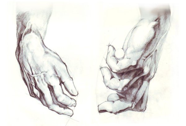 Руки Давида Микеланджело рисунок