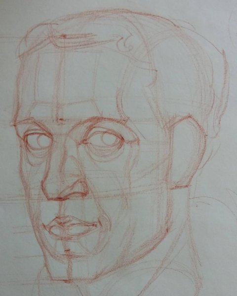 Пропорции головы человека Рыжкин