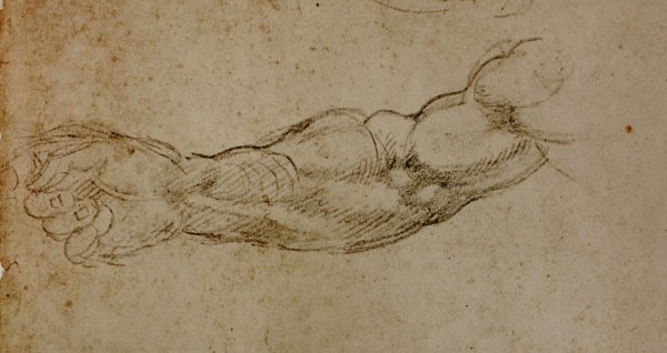 Сотворение Адама Микеланджело черно белые руки