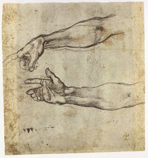 Микеланджело Сотворение Адама руки Эстетика