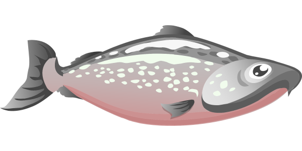 Лосось мультяшный