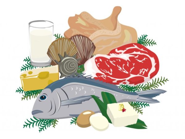 Иллюстрации продуктов