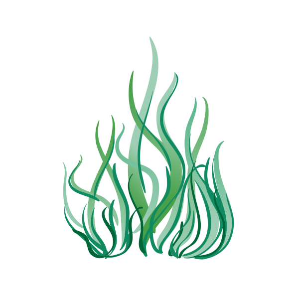 Зентангл водоросли