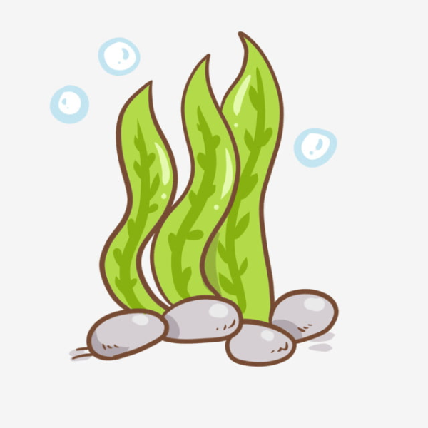 Стилизованные водоросли