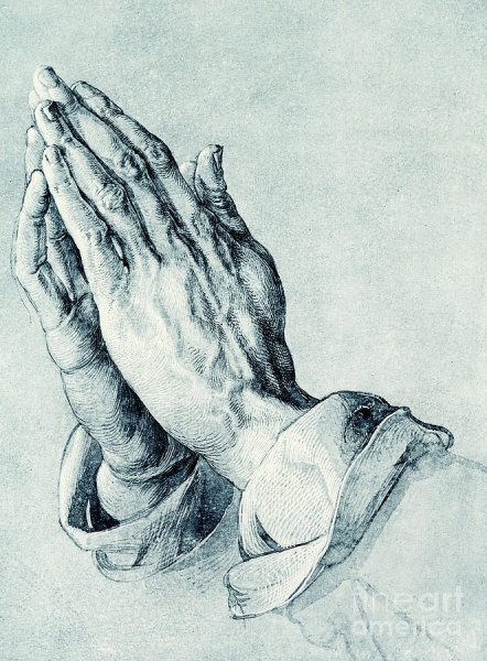 Альбрехт Дюрер штудии