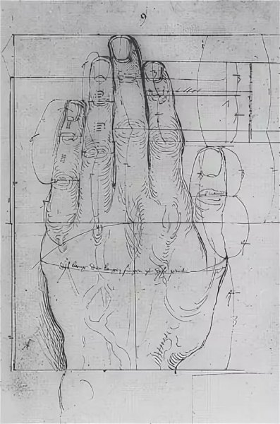 Дюрер трактат о пропорциях