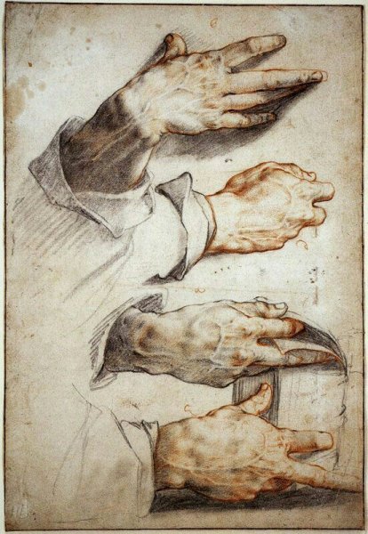 Альбрехт Дюрер кисти рук