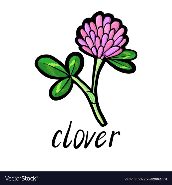 Полевые цветы стилизация