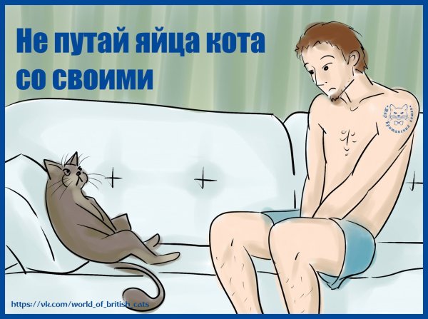 Кастрация мужчин рисунки