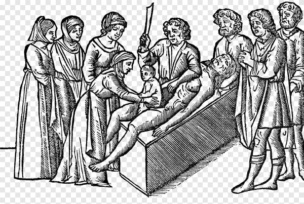 Шутки про кастрированных котов