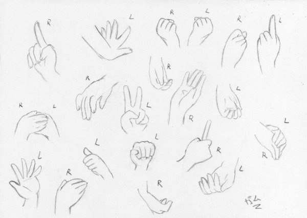 Руки референс