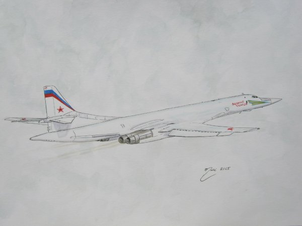 Раскраска ту 160 белый лебедь