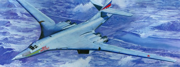 Ту 160 арт