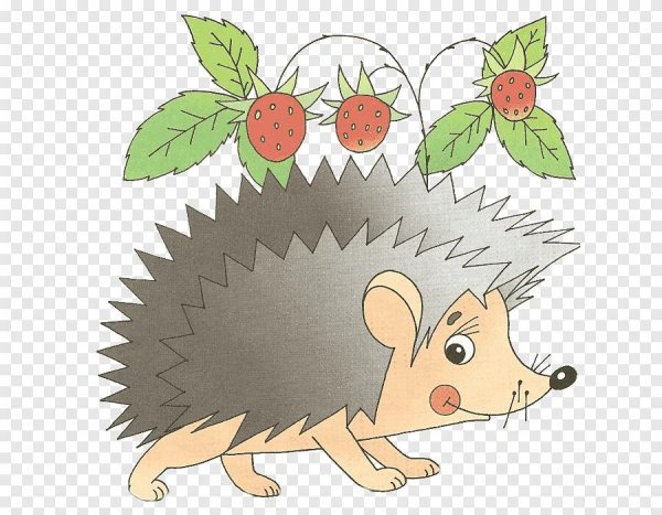 Ежик картинка для детей