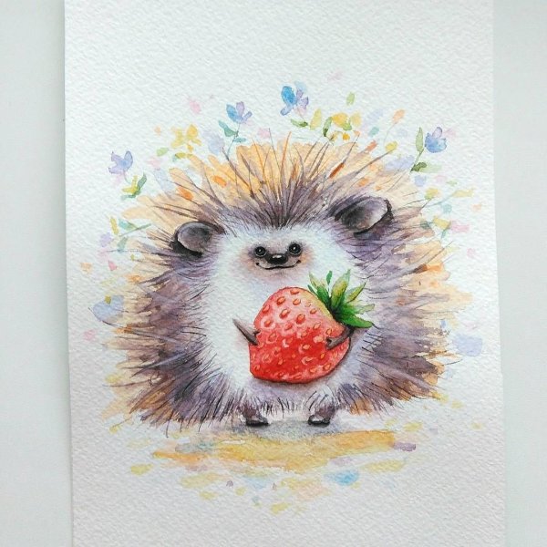 Евгения Соловьева иллюстрации ежики