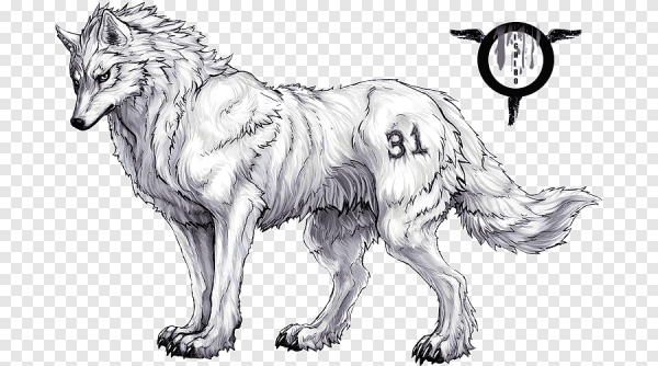 Рисуем полярного волка