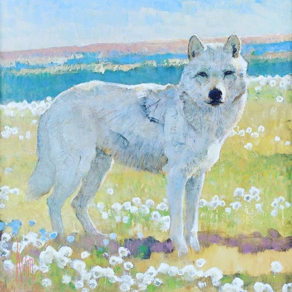 Полярный волк живопись маслом