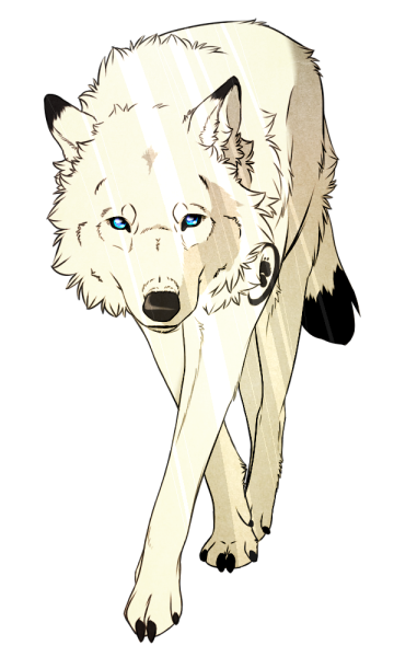 Белый волк арт