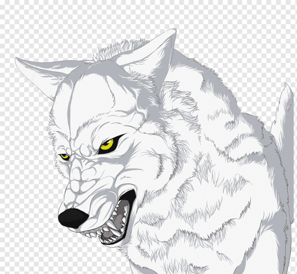 Волк рисунок