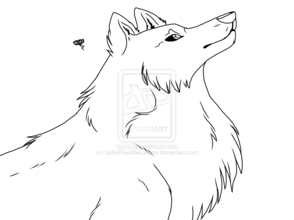 Волк плачет раскраска