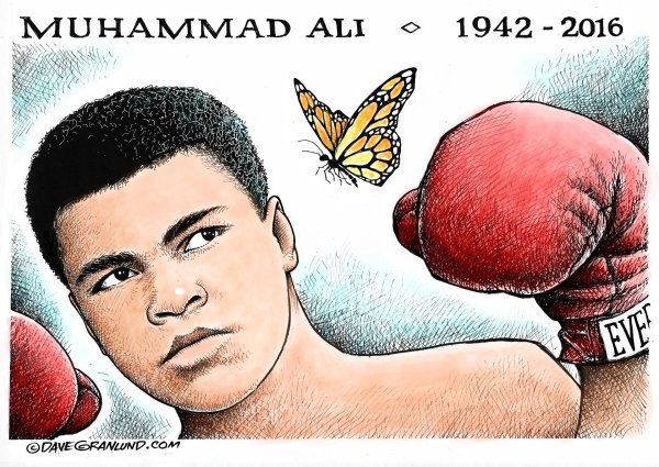 Мухаммед Али рисунок карандашом