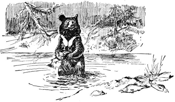 Гималайский медведь раскраска