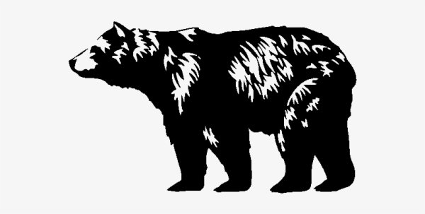 Гималайский медведь черно белый рисунок
