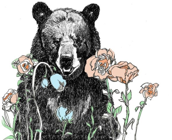 Медведь принт арт