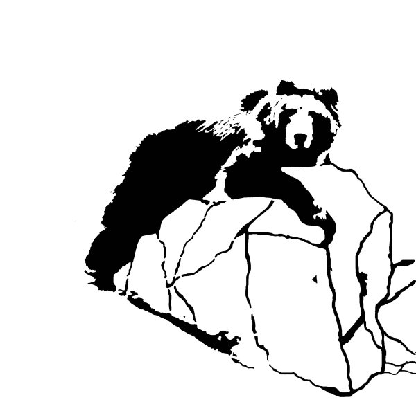 Медведь черно белая Графика
