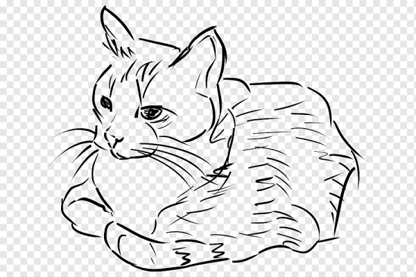 Кошка картинка рисунок