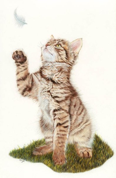 Гейл Мейсон