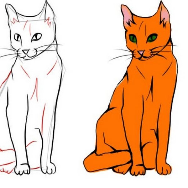Рисунок кошки карандашом для срисовки