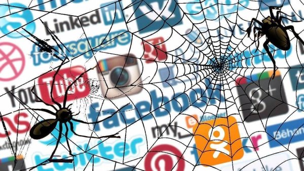 Социальная паутина