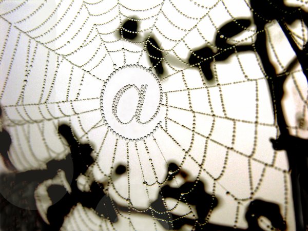 Мировая паутина