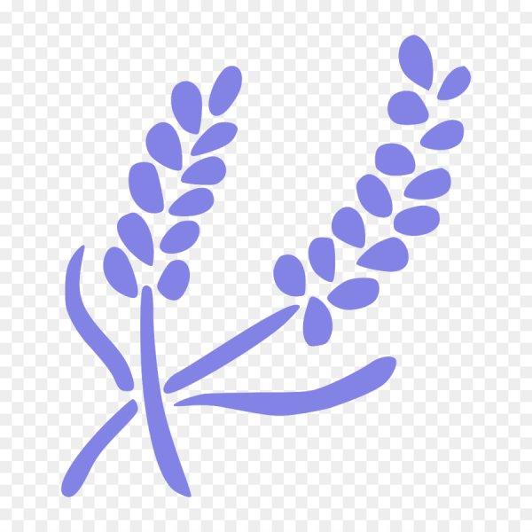 Лаванда акварель