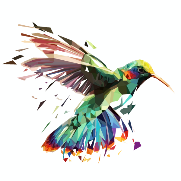 Птицы Графика цветная