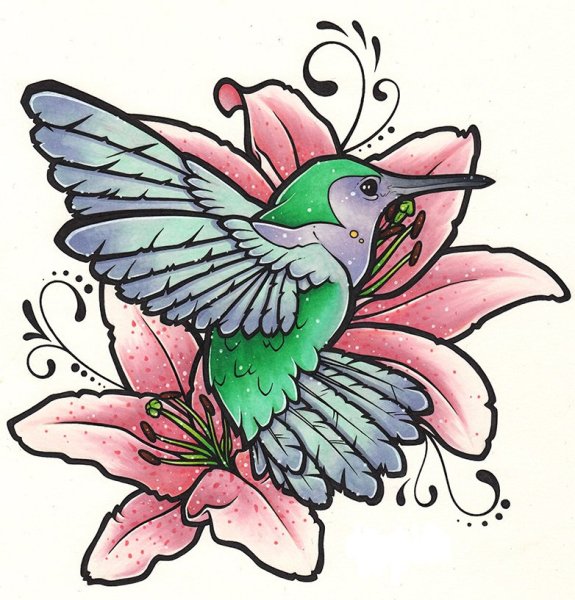 Колибри с цветком эскиз