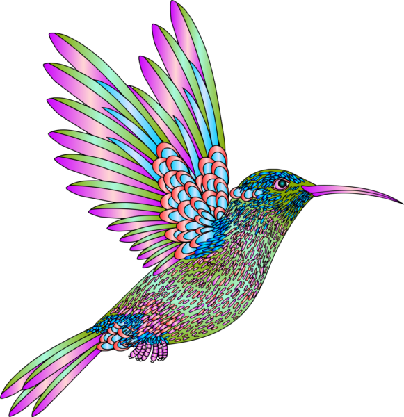 Колибри Мандала