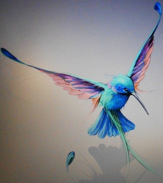Колибри эскиз цветной