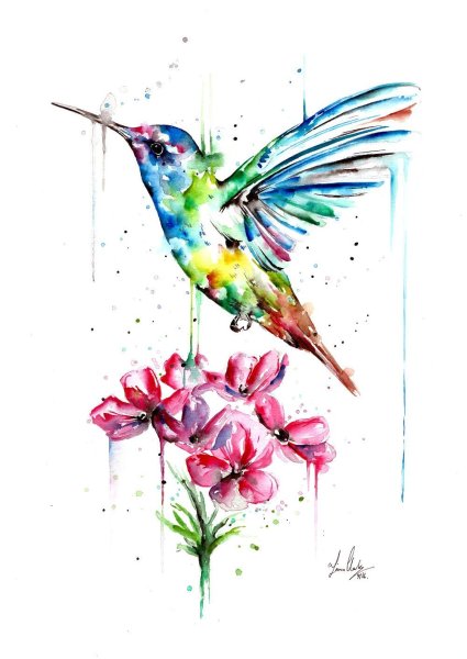 Колибри скетч акварелью