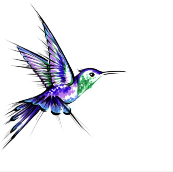 Тату Колибри эскизы цветные