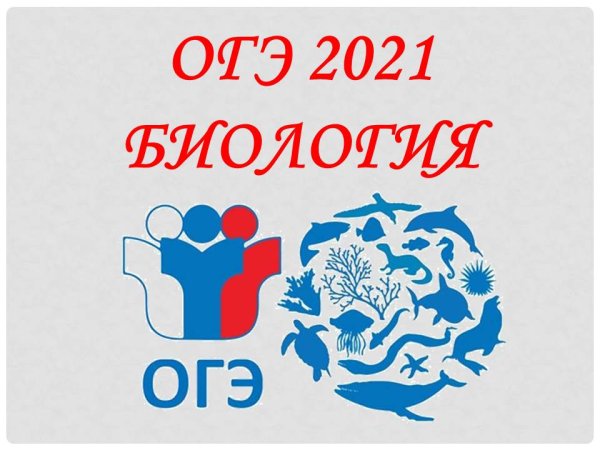 ОГЭ 2021 логотип