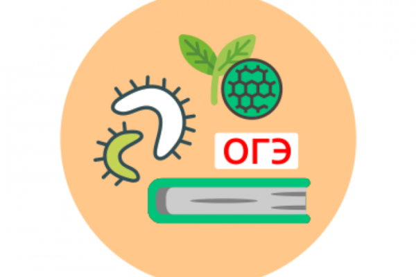 Подготовка к ОГЭ по биологии