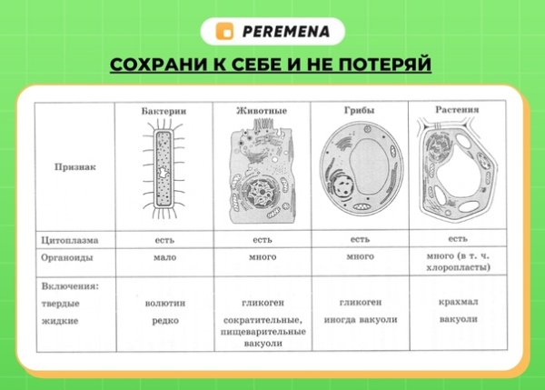 ЕГЭ по биологии 2021