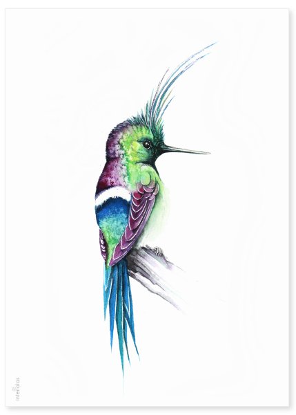Акварельные тату Колибри