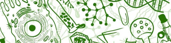 Биологические иллюстрации