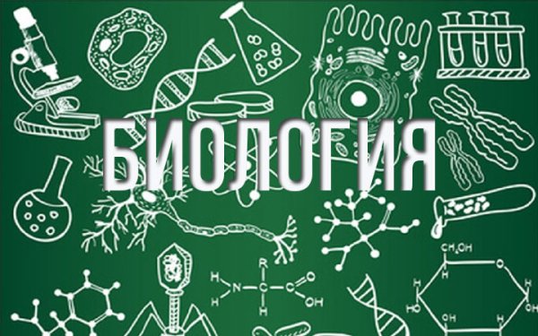Картинки по биологии