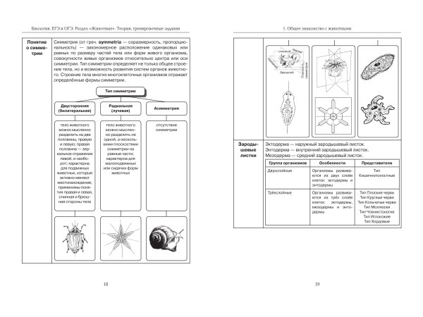 ЕГЭ биология задания